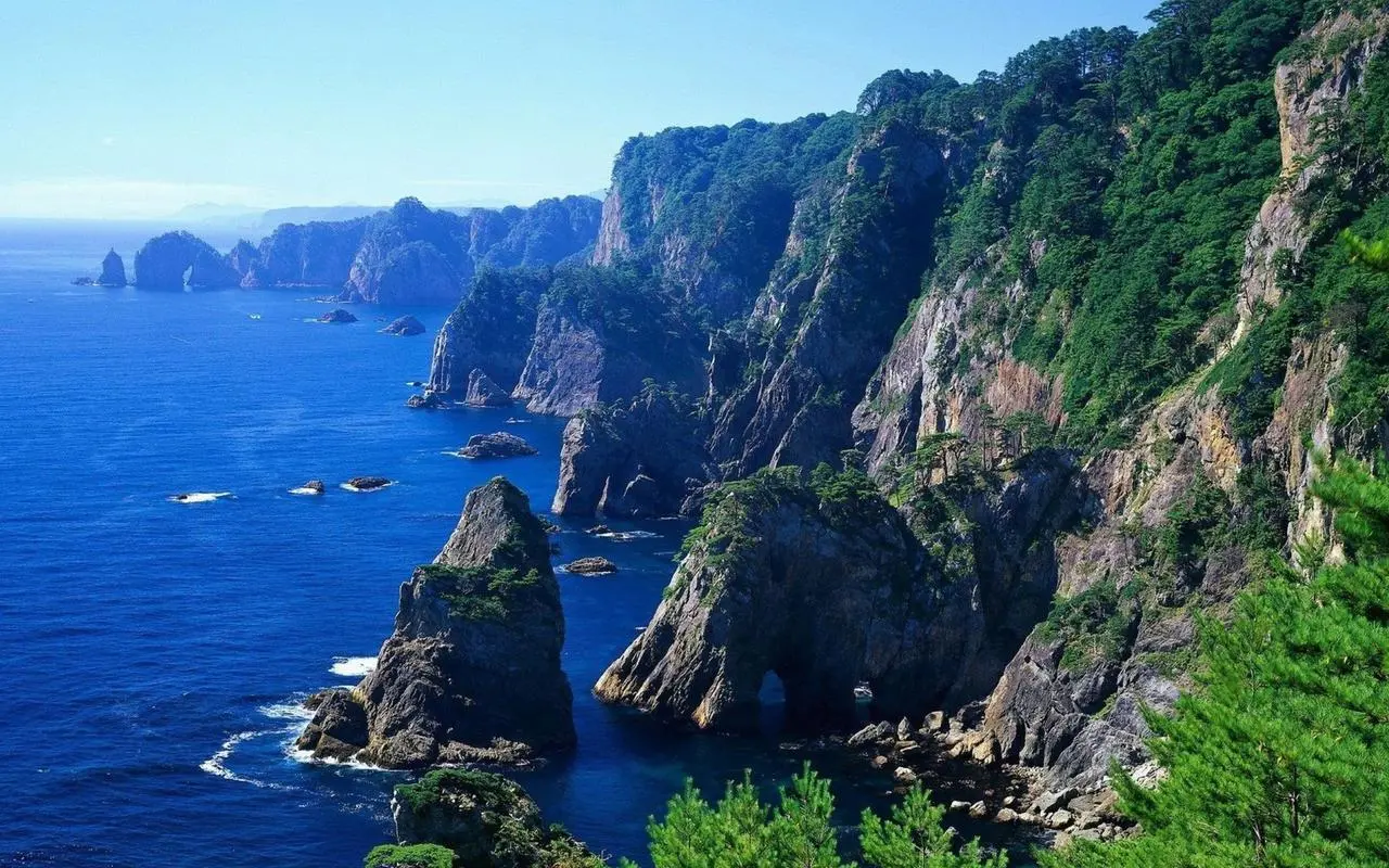 节能高性能全自动
